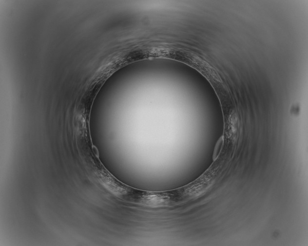X0000095520522200712141449