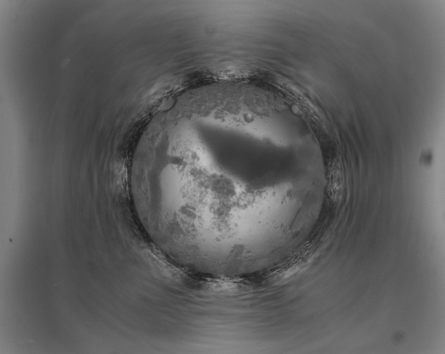 X0000095520523200712141449