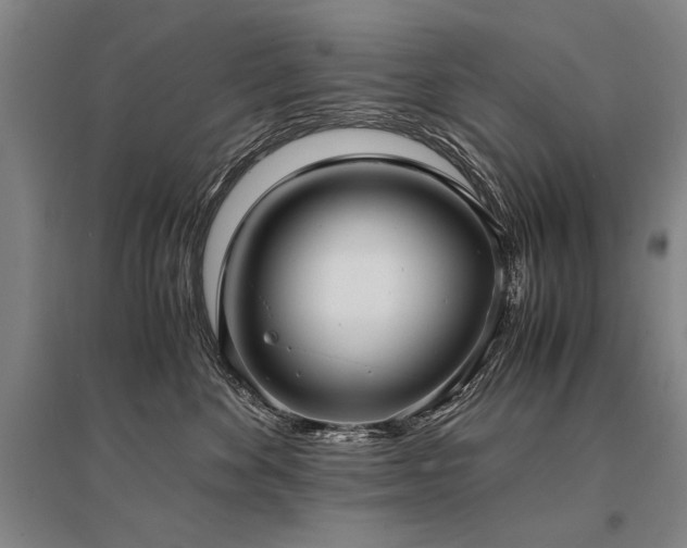 X0000095520524200712141449