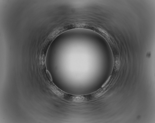 X0000095520525200712141449