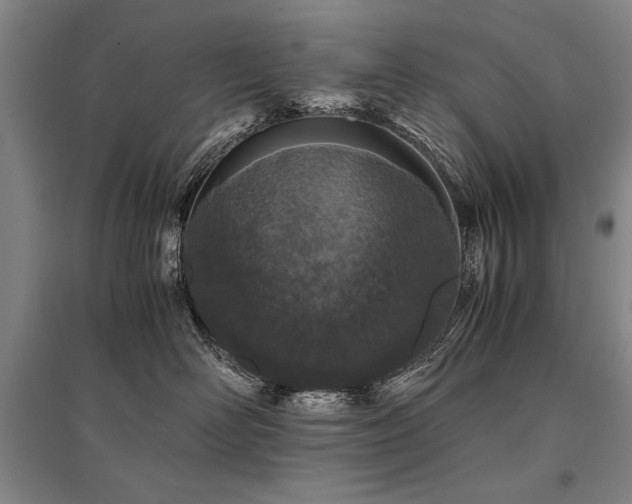 X0000095520526200712141449