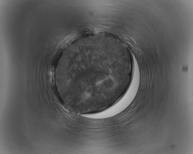 X0000095520527200712141449