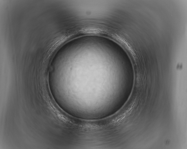 X0000095520529200712141448