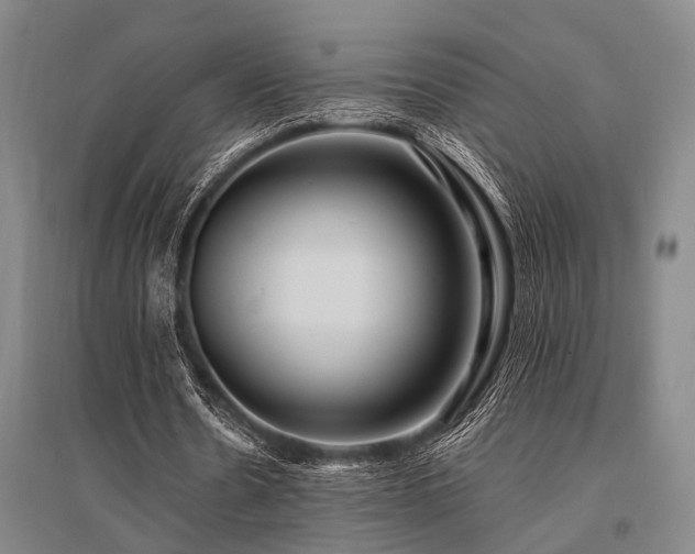 X0000095520530200712141448