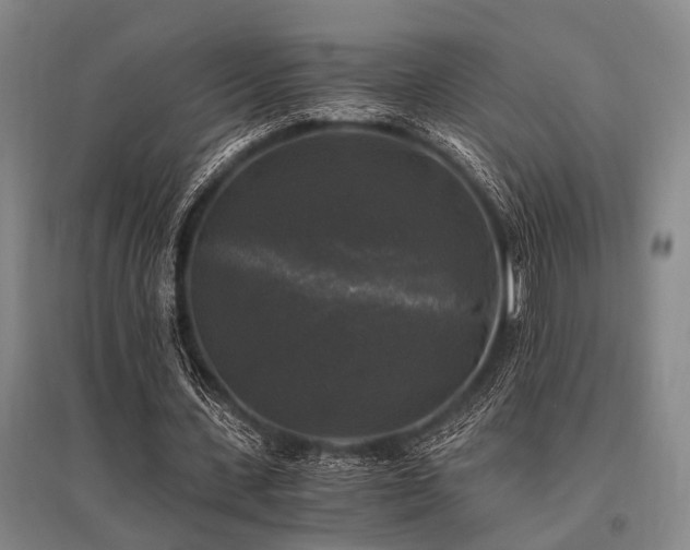 X0000095520531200712141448