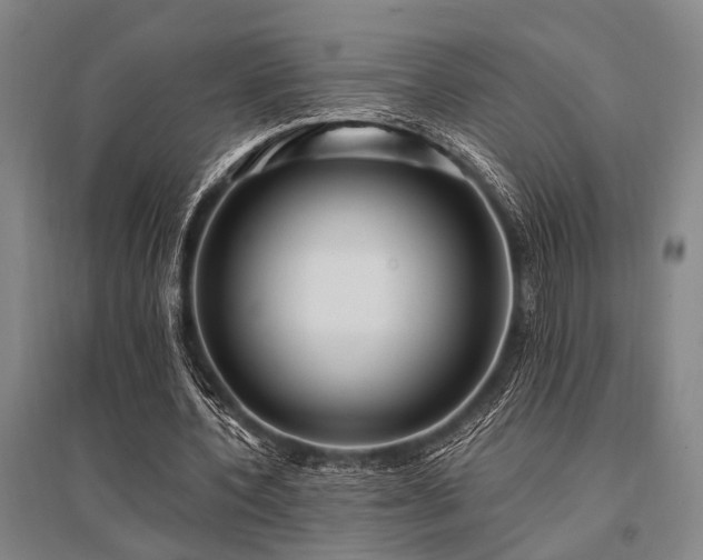 X0000095520532200712141448
