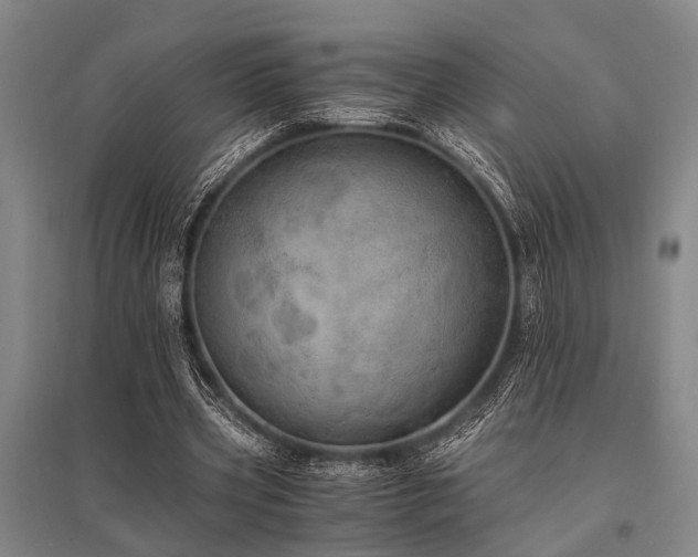 X0000095520533200712141448