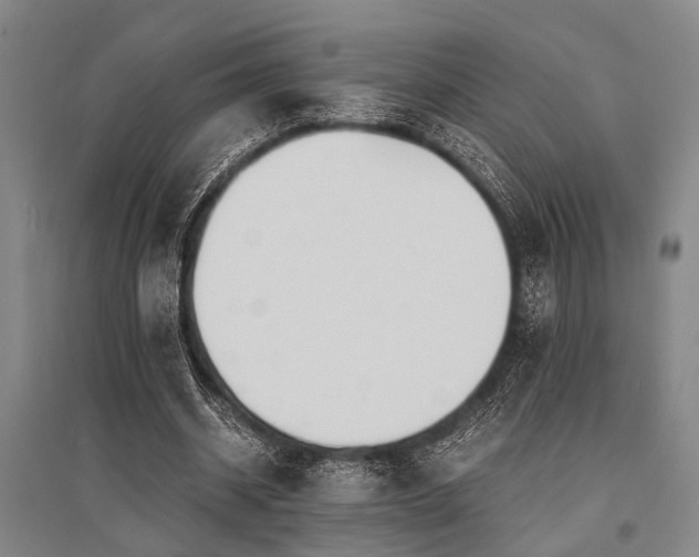 X0000095520534200712141448