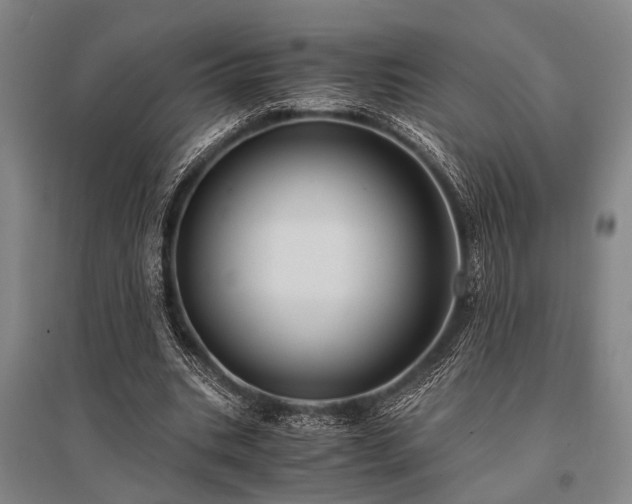 X0000095520535200712141448