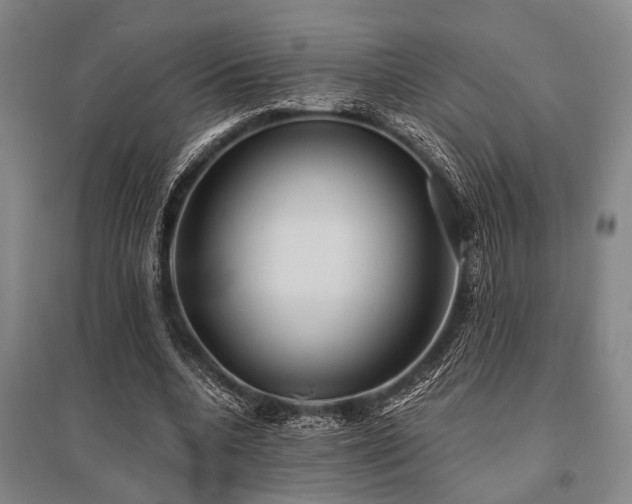 X0000095520536200712141448