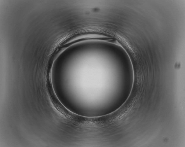 X0000095520538200712141448