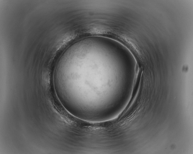 X0000095520539200712141448