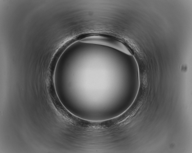 X0000095520540200712141448