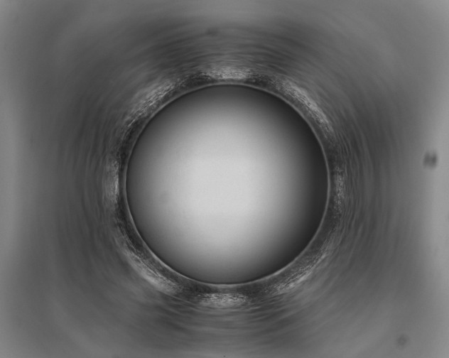 X0000095520541200712141448