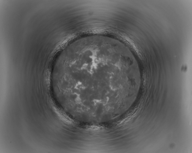 X0000095520542200712141448