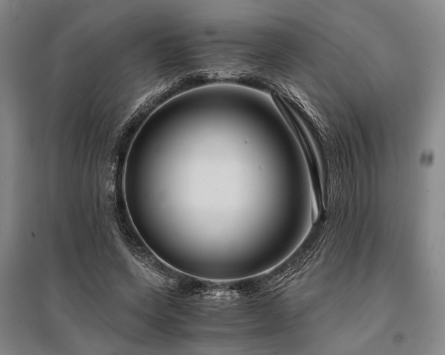 X0000095520543200712141448