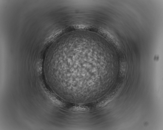 X0000095520545200712141448
