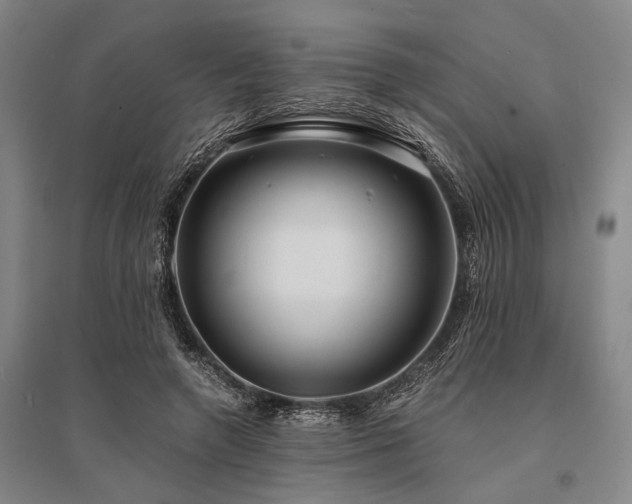 X0000095520546200712141448