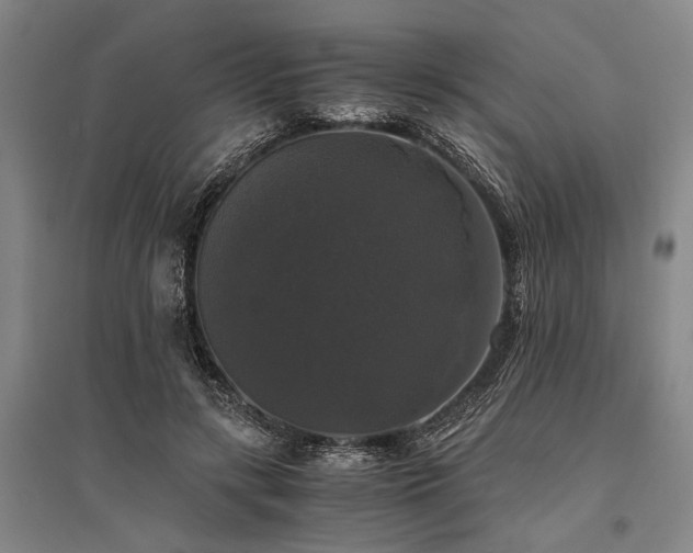 X0000095520547200712141448