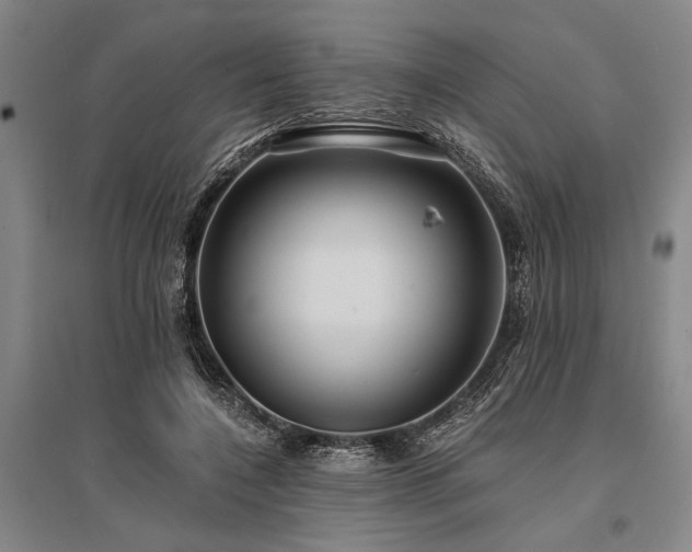 X0000095520548200712141448