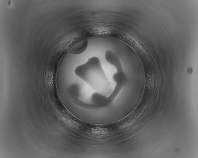 X0000095520549200712141448