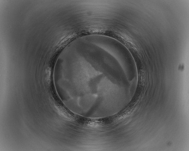 X0000095520550200712141448