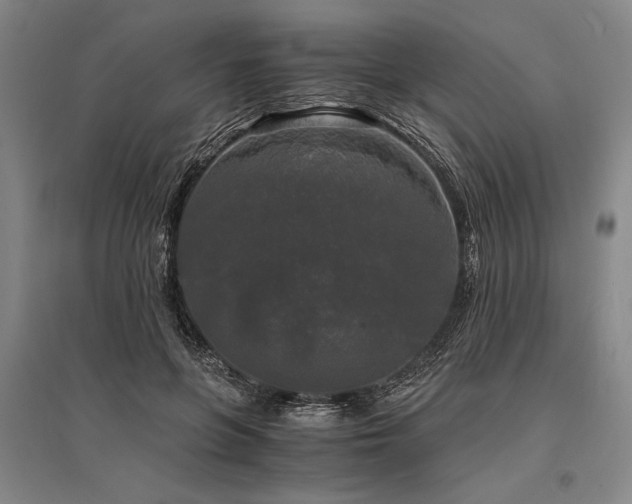 X0000095520551200712141448