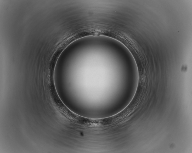 X0000095520552200712141448