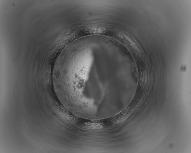 X0000095520553200712141448