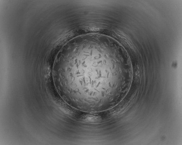 X0000095520555200712141448