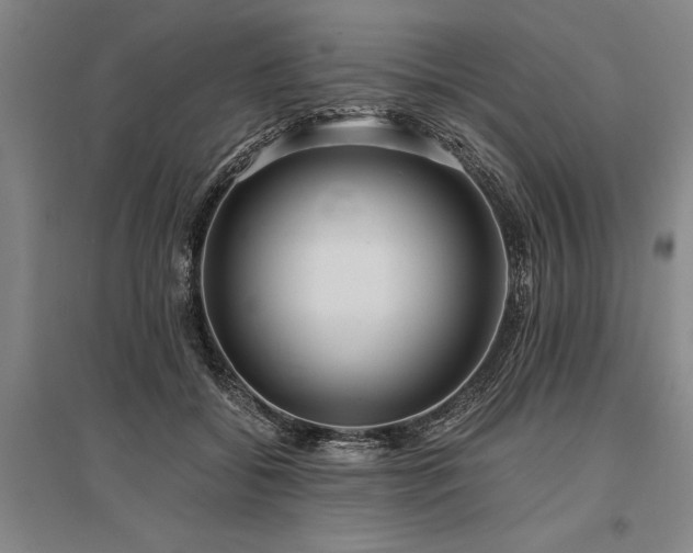 X0000095520556200712141448