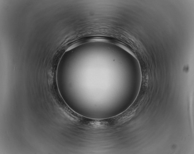 X0000095520558200712141448