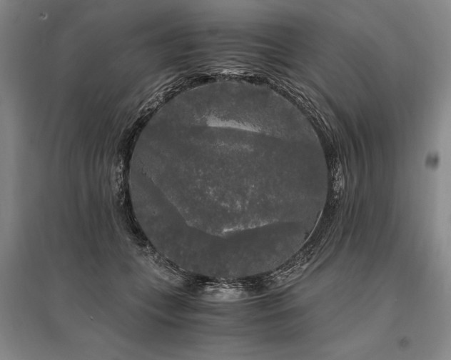 X0000095520559200712141448