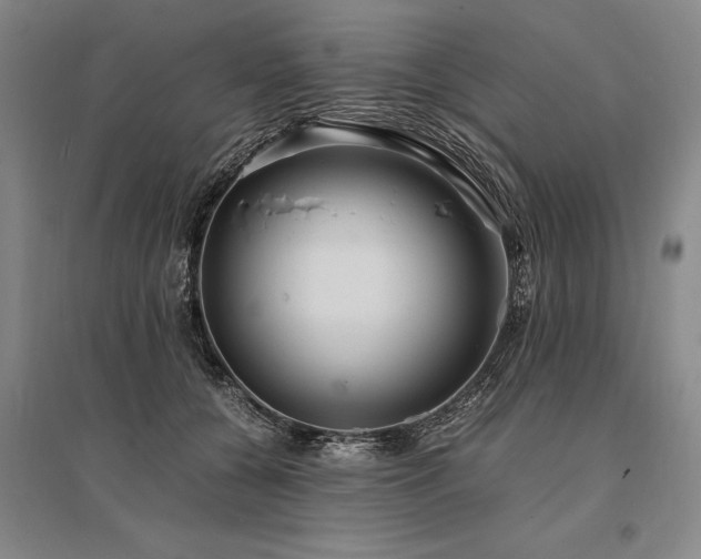 X0000095520560200712141448