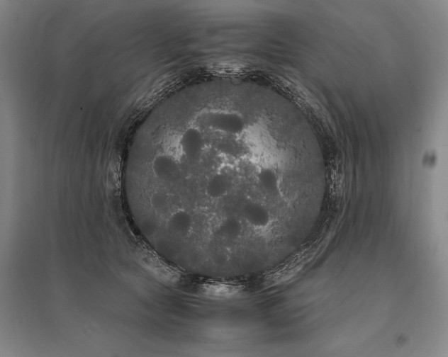 X0000095520561200712141448