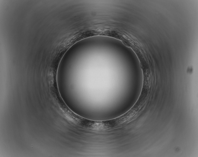 X0000095520562200712141448