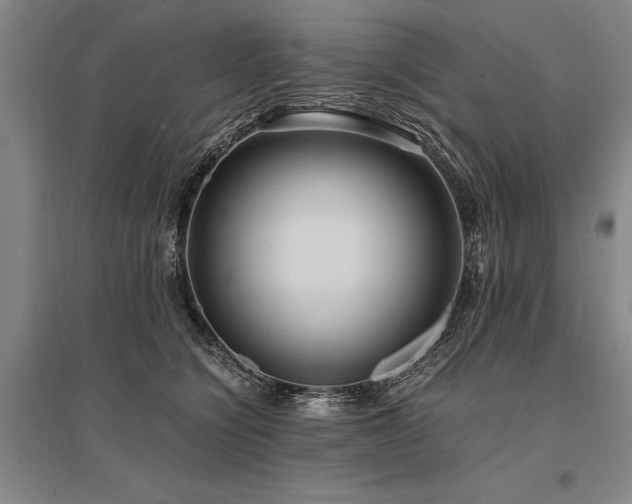 X0000095520564200712141448