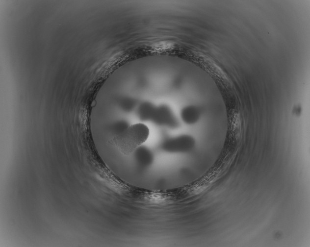 X0000095520565200712141448