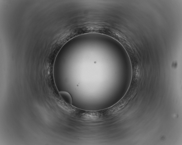 X0000095520567200712141448