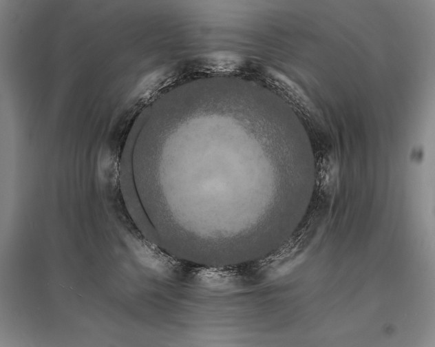 X0000095520568200712141448