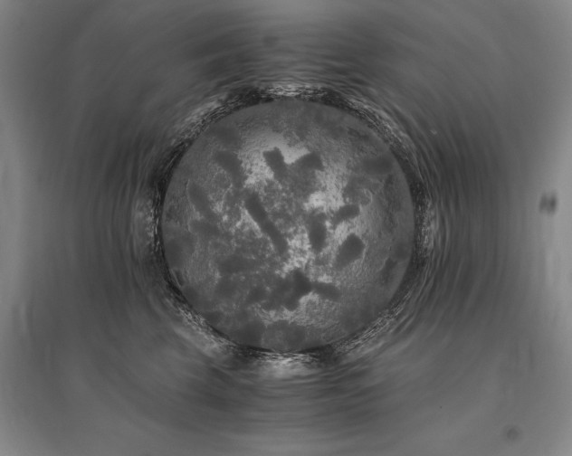 X0000095520569200712141448