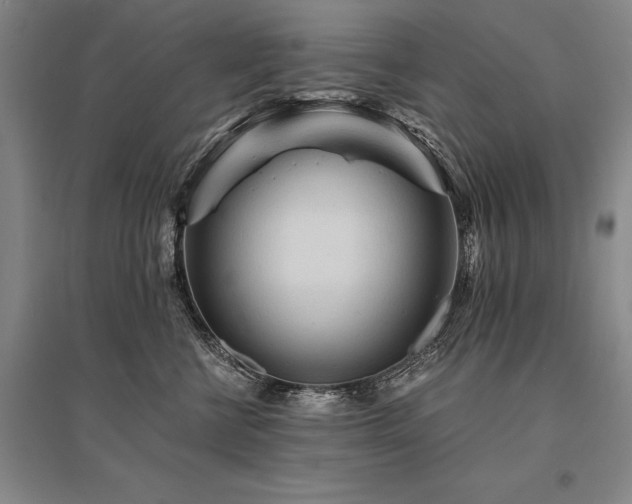X0000095520570200712141448