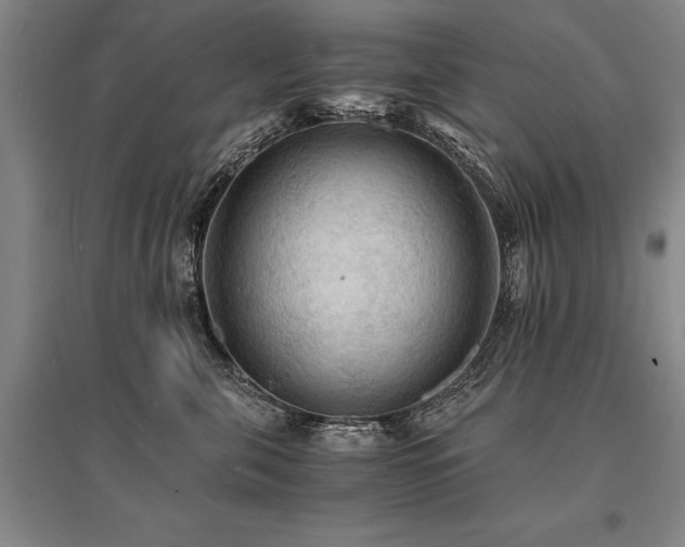 X0000095520571200712141448