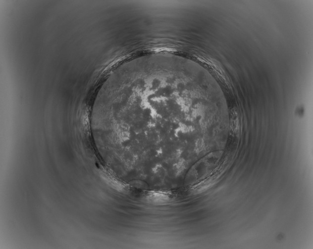 X0000095520573200712141448