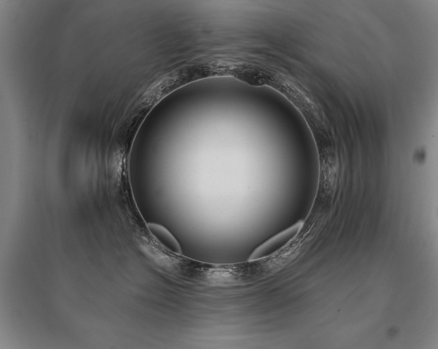 X0000095520574200712141449