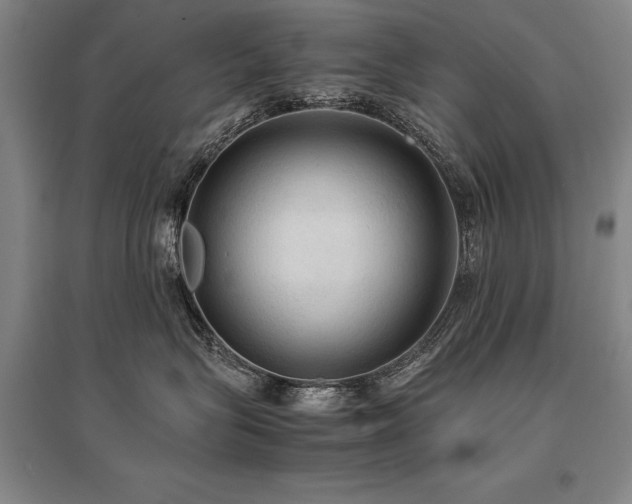 X0000095520575200712141449