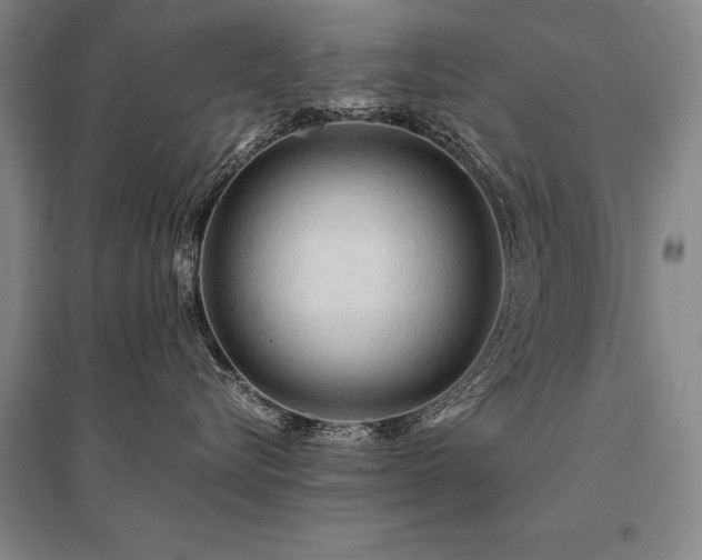 X0000095520576200712141449