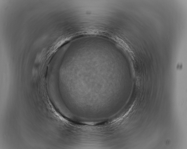 X0000095520577200712141448
