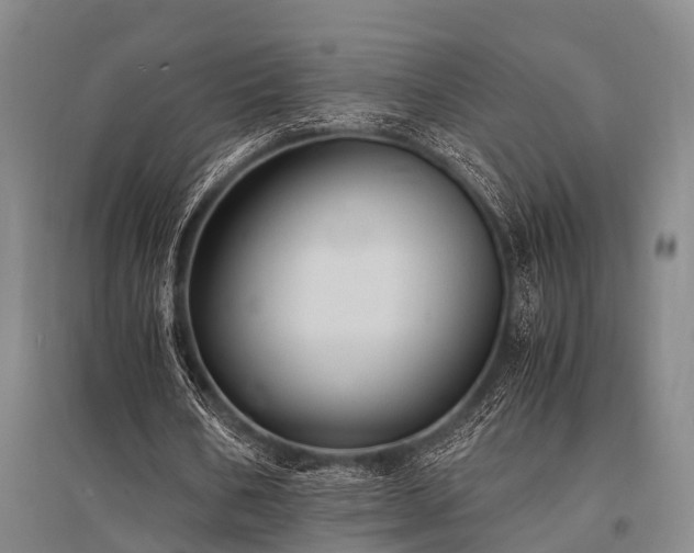 X0000095520578200712141448