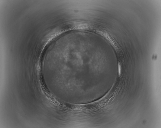 X0000095520579200712141448